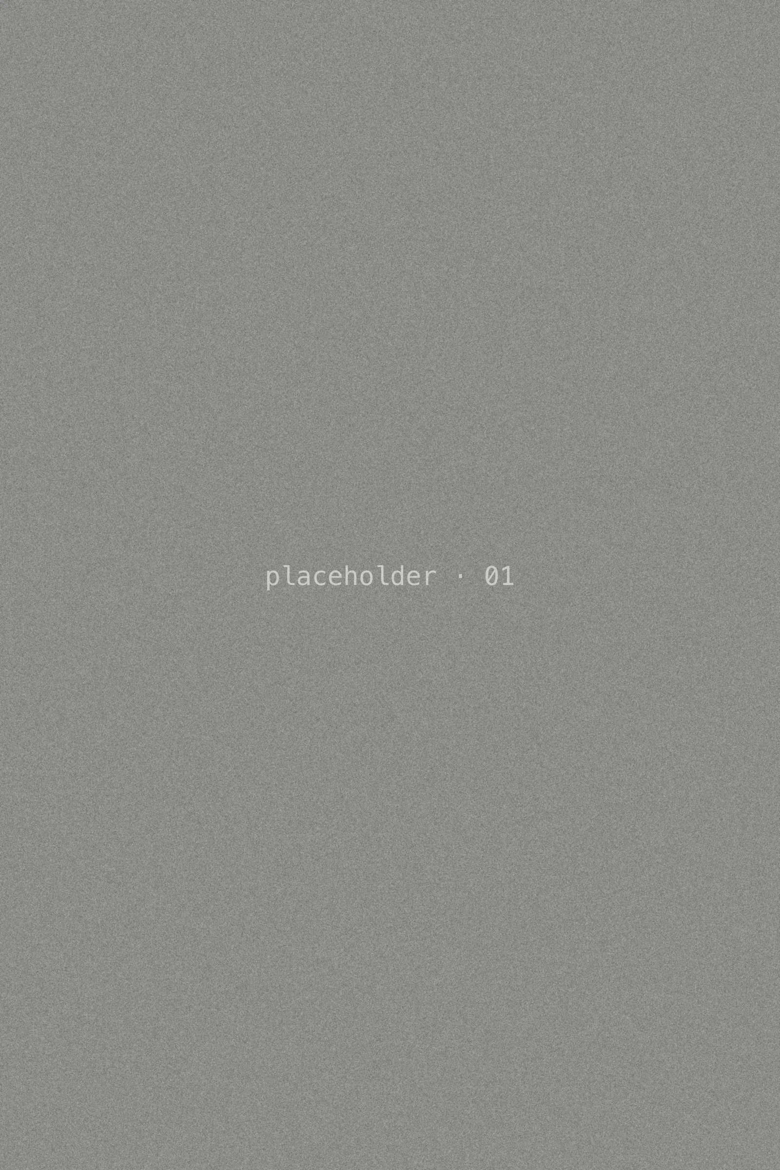 Placeholder frame, mid-grey grain.