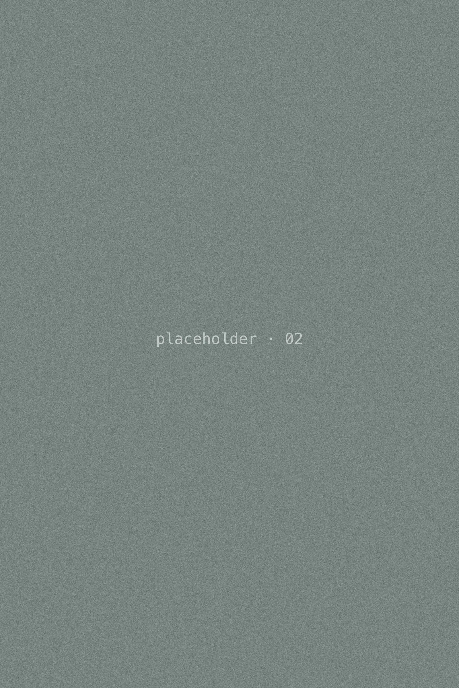 Placeholder frame, grey-green grain.